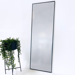 LISA Miroir 50x150 Cm