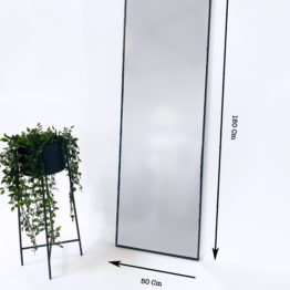 Miroir LISA 50x150 Cm Dimensions